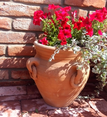 Amfora tehlová štyri uši 